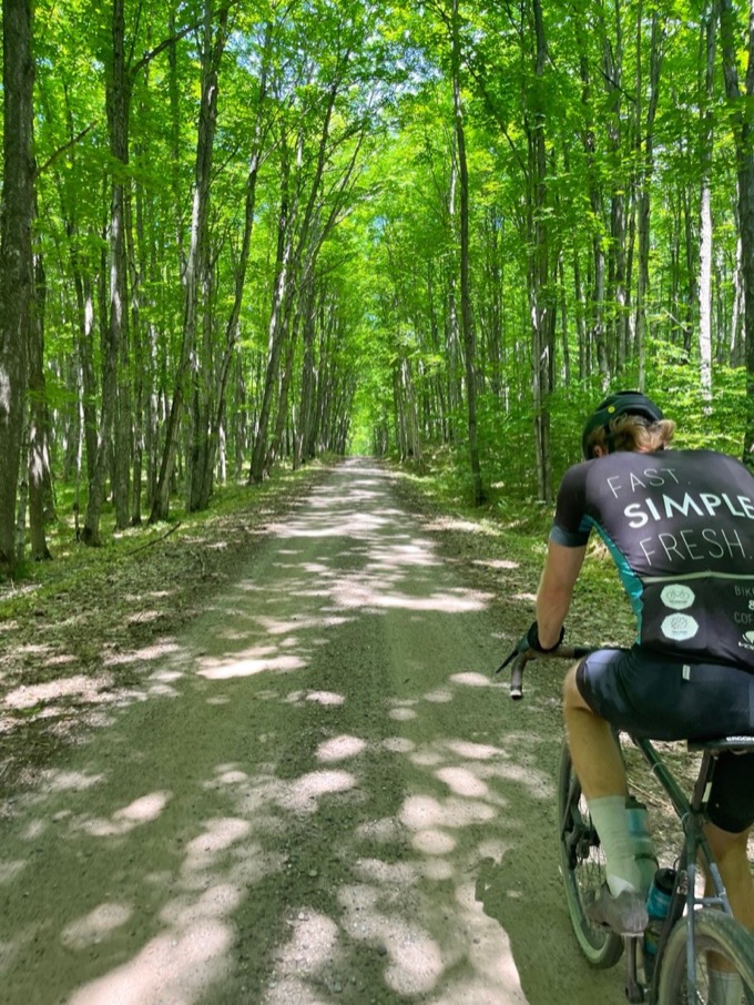A tunnel of hardwood canopy over a forest road