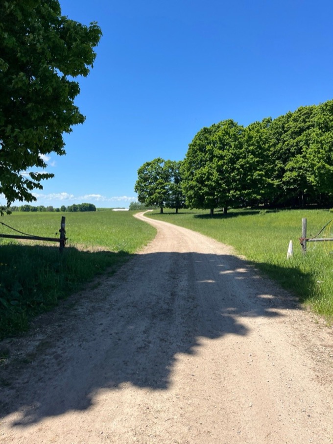 A winding road through green farmland