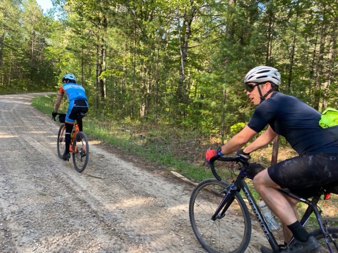 Riders on a pine-lined forest road