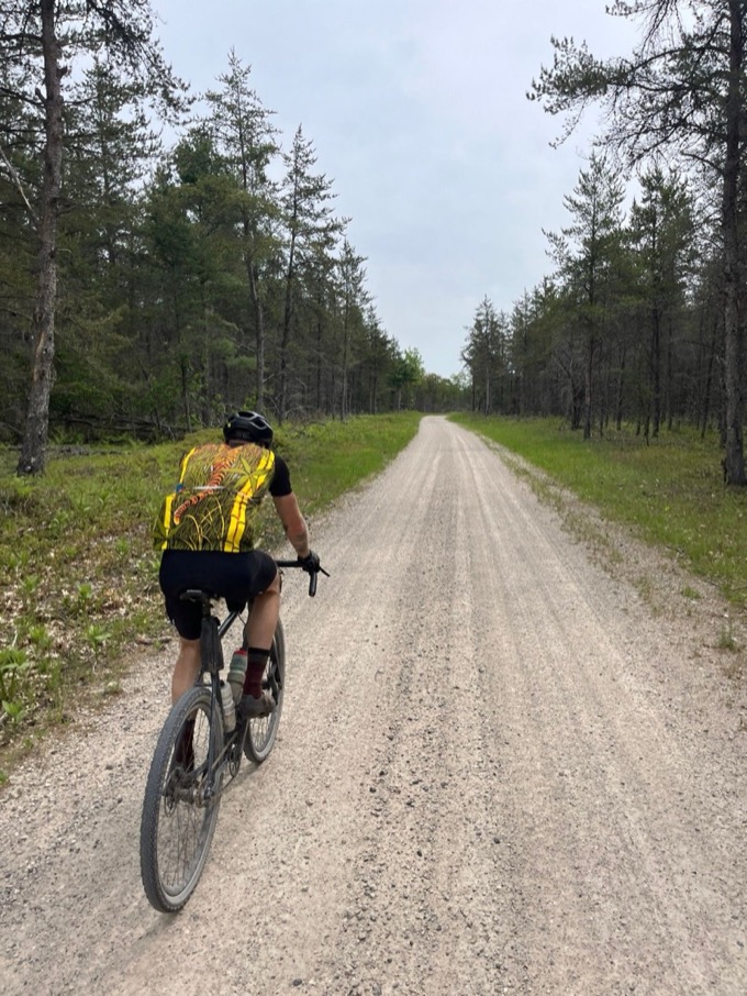 A solo rider through spruce corridor